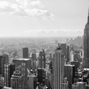 Meet your Posher, Lilly